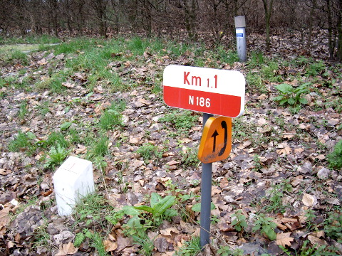 IMGP2948n186km11