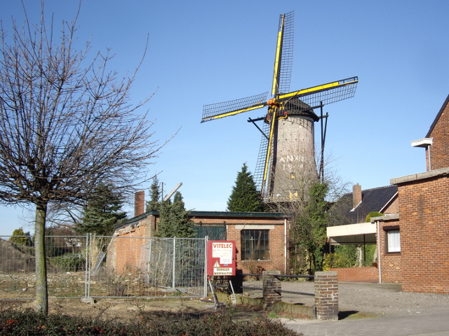 IMGP3066n71molen