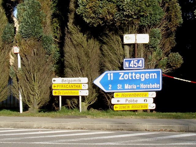 IMGP3309n454