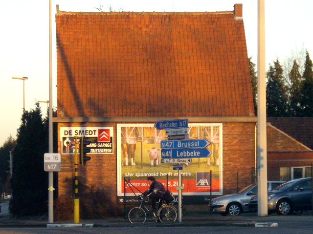 IMGP3341n17n47n41