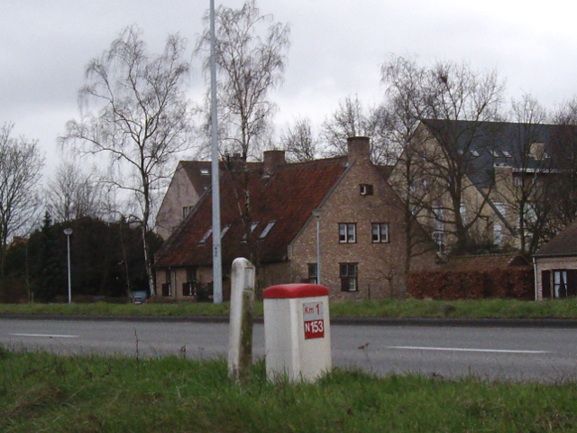 IMGP3578n153
