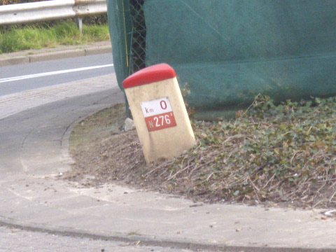 IMGP4225n276b
