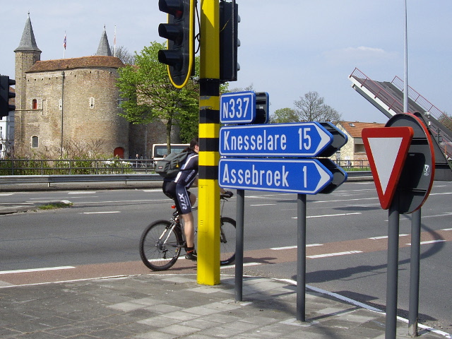 IMGP4378n337