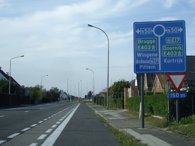IMGP4421n50n37