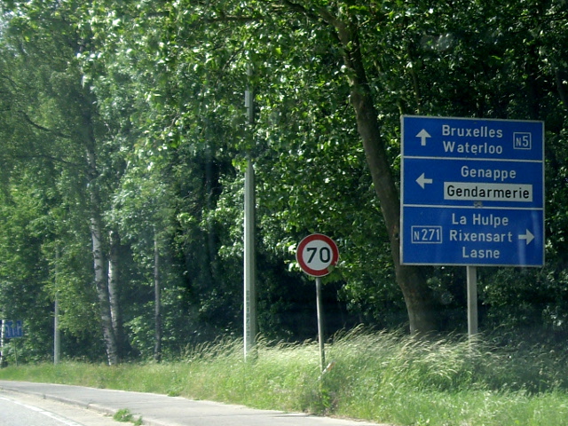 IMGP5642n271n5