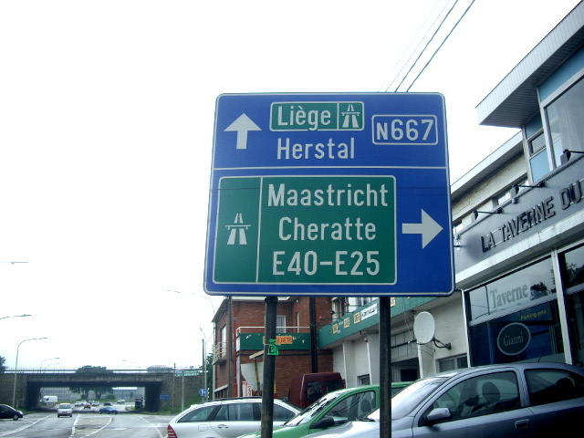 IMGP5859n667