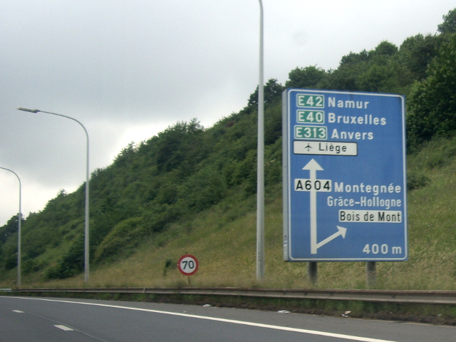 IMGP5903a604