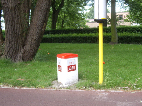 IMGP6513n340