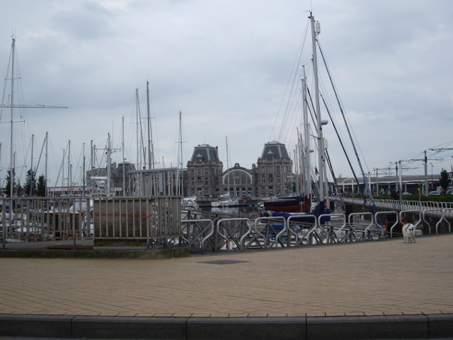 IMGP6514n334