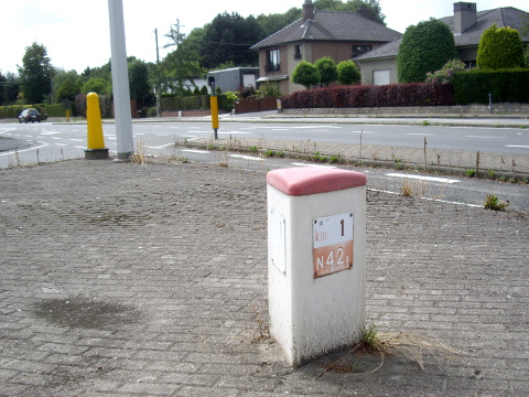 IMGP7954n42a