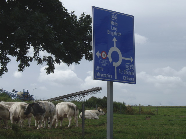 IMGP8037n525n56