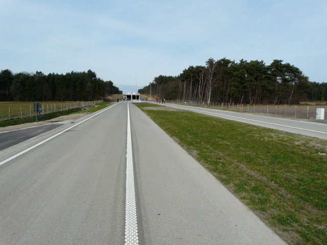 P1030853n19g