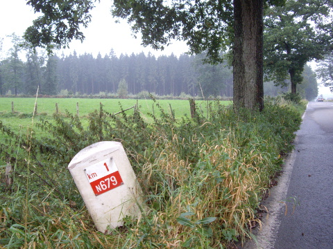 IMGP9393n679