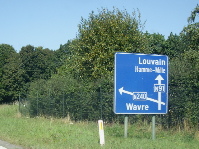 IMGP9442n240n91