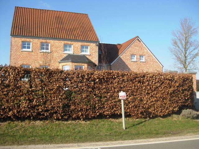 2129n637a