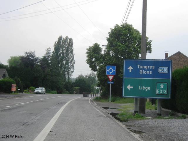 1555n618e313