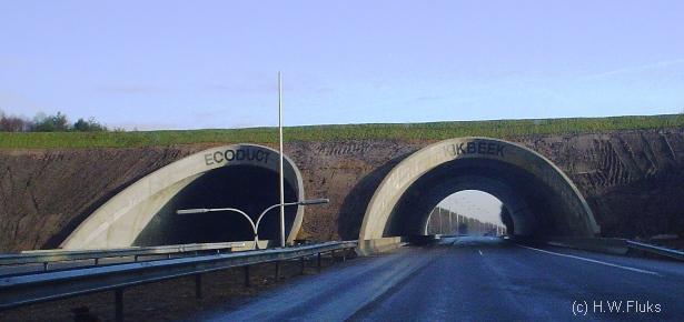 ecoductkikbeek