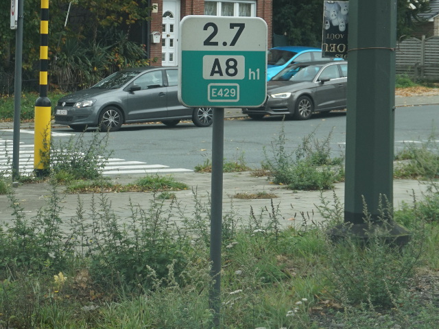 DSC05493n203a8