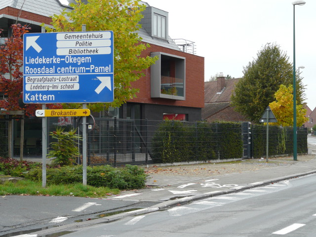 P1190959enormepijlen