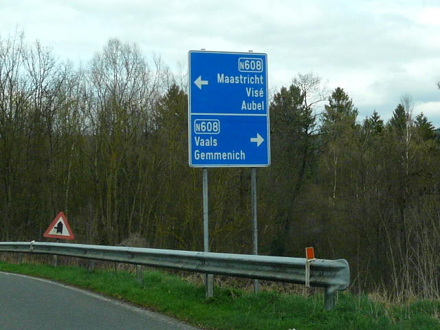 P1230956n608