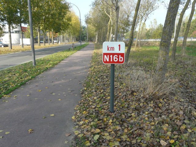 P1290464n16b