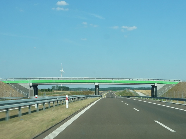 DSC00894s10