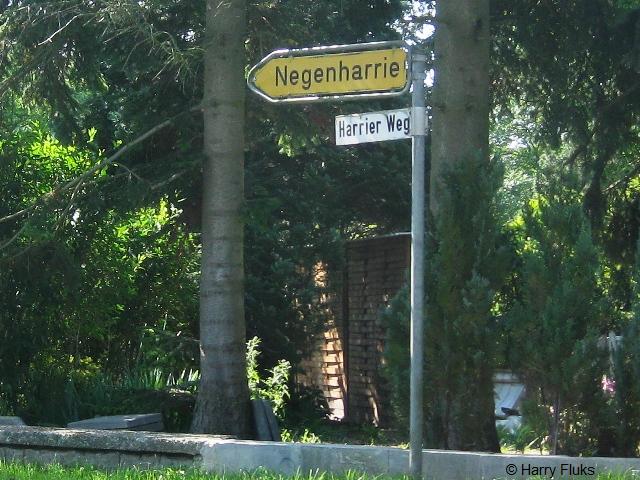 IMG_2005negenharrie