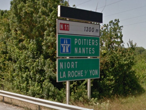 n11_gm