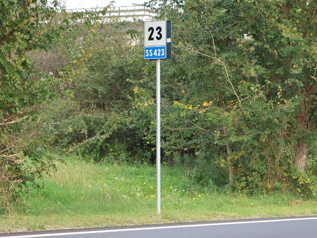 IMG_6508ss423
