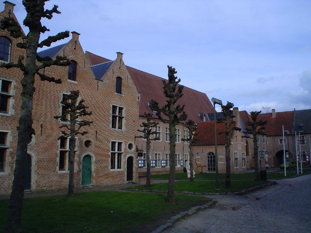 DSC00864diest