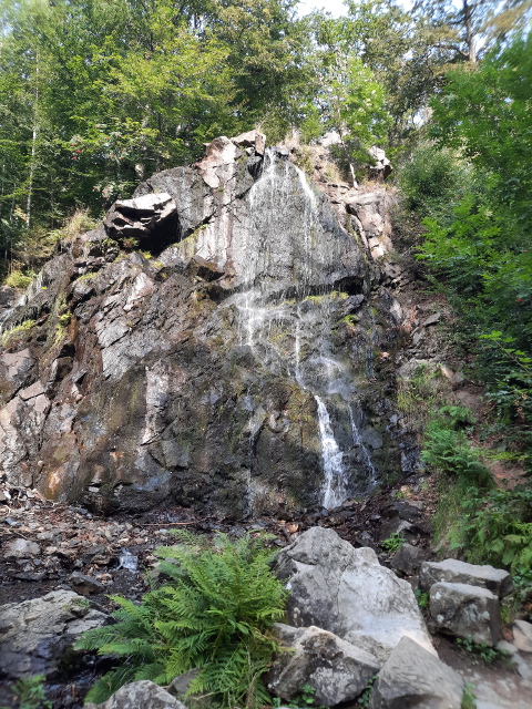 20260816_170603badharzburg
