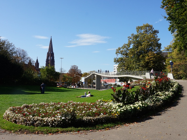 DSC05640freiburg