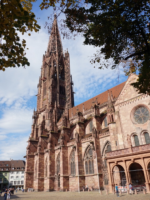DSC05657freiburg