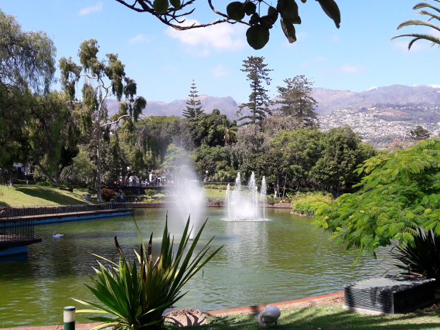 20170915_155716funchal