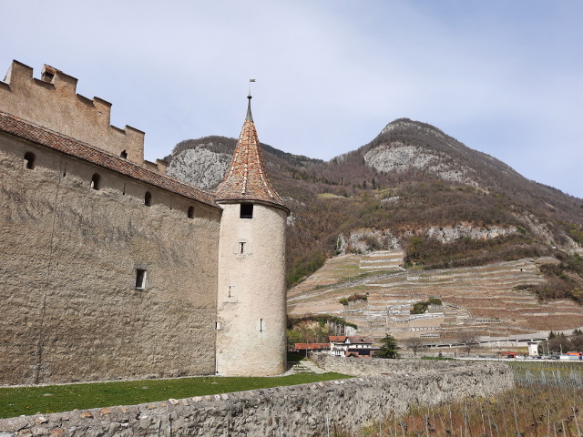 20220412_151130aigle
