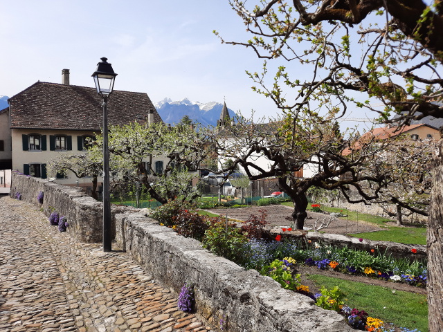 20220412_151707aigle