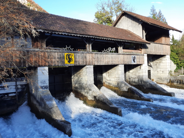 20241016_165722interlaken