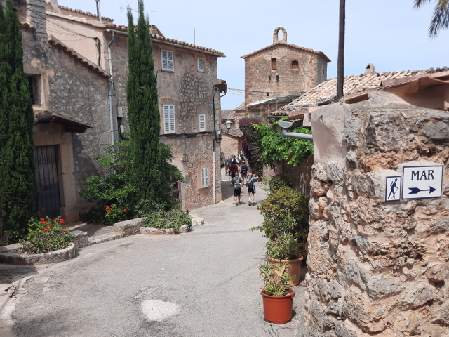 20250602_115621llucalcari