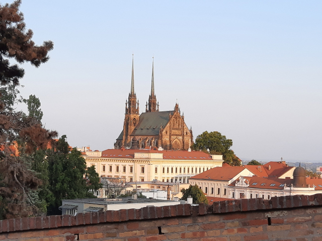 20250810_192934brno