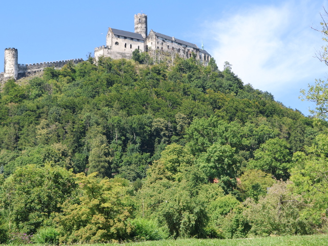 IMG_3300bezdez
