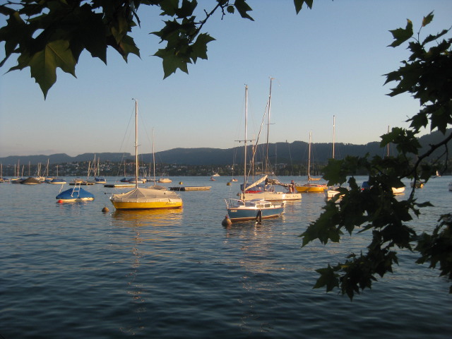 IMG_8982zurich