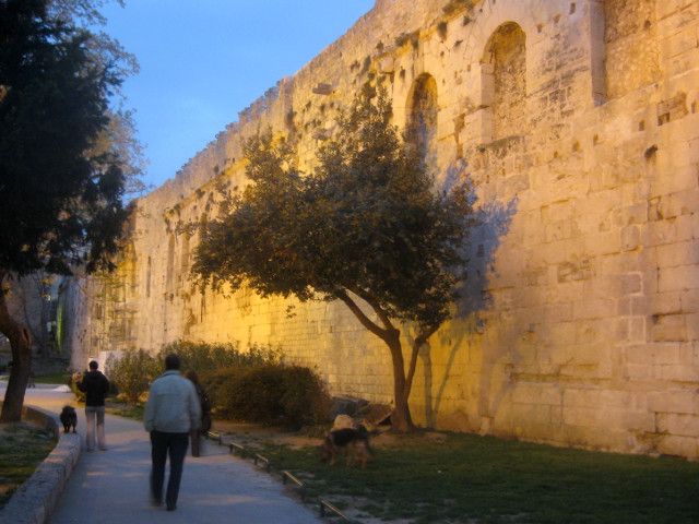 IMG_9006split