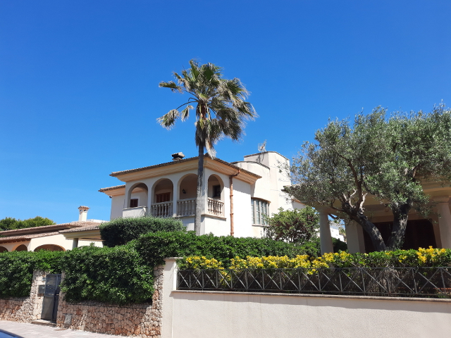 20260526_160443canpicafort