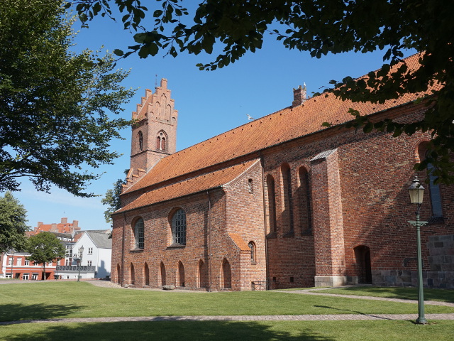 DSC04228viborg
