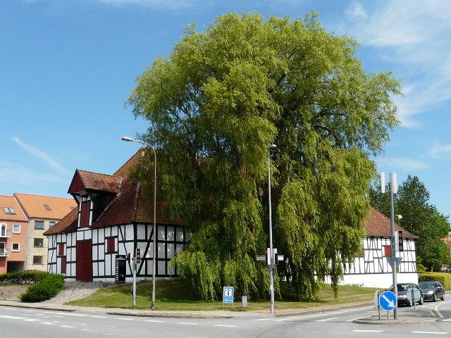 P1090300haderslev