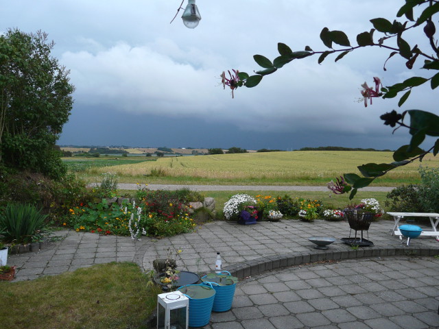 P1170872millinge