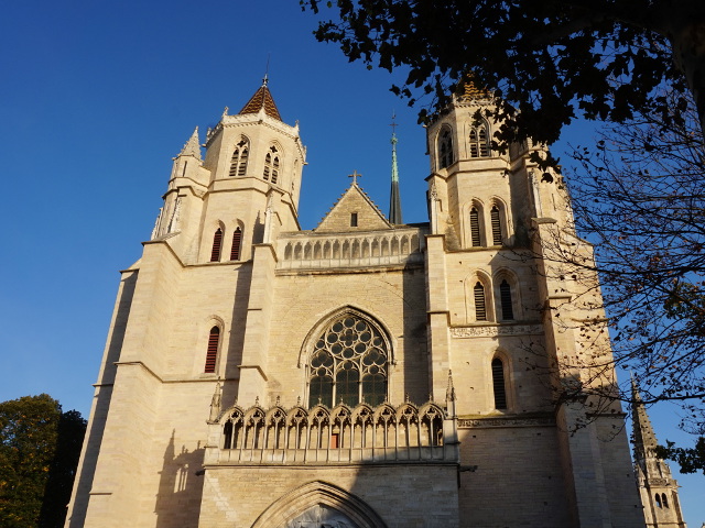 DSC07060dijon
