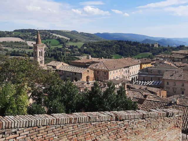 20261007_125142urbino