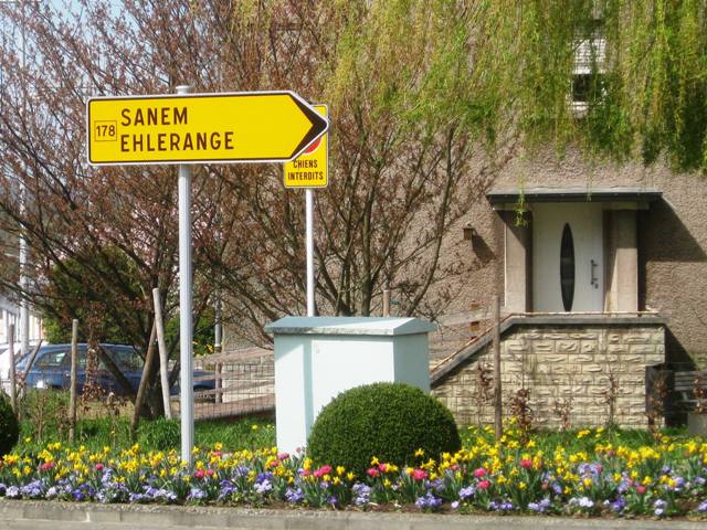 IMG_2831c178