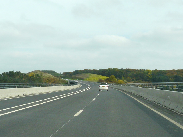 P1200236n11junglinsternieuw